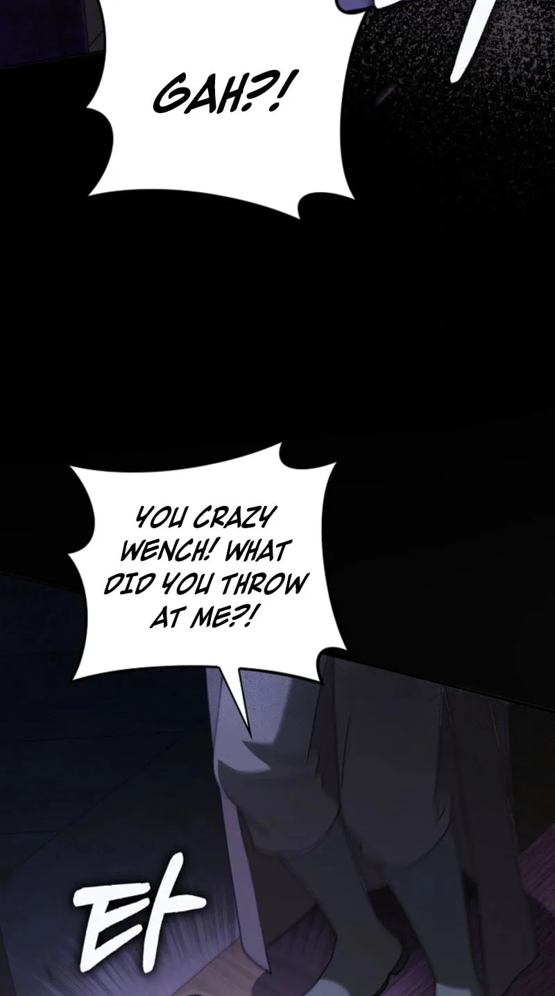 Read Cinderella Disappeared chapter 74 image 19 on Lezhin