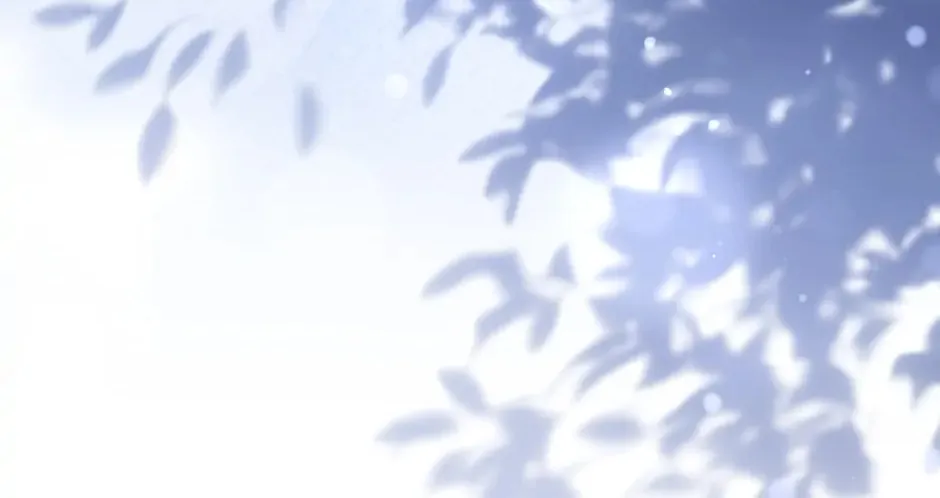 Read Cinderella Disappeared chapter 76 image 107 on Lezhin