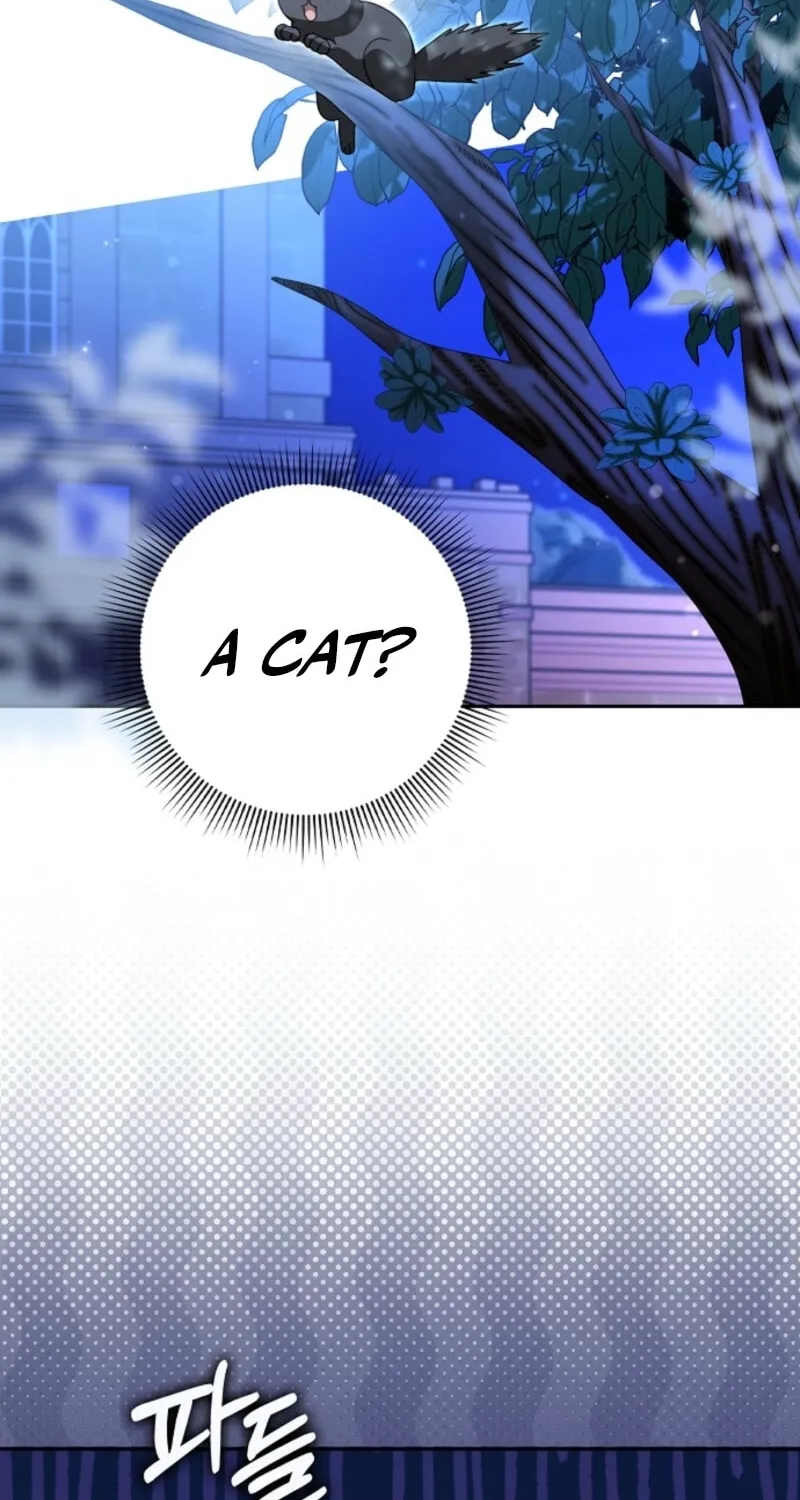 Read Cinderella Disappeared chapter 80 image 5 on Lezhin
