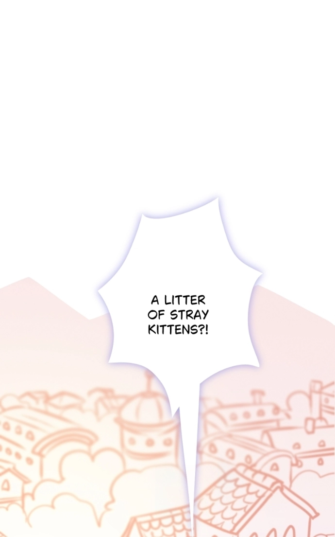 Read Cinderella Heel chapter 38 image 40 on Lezhin