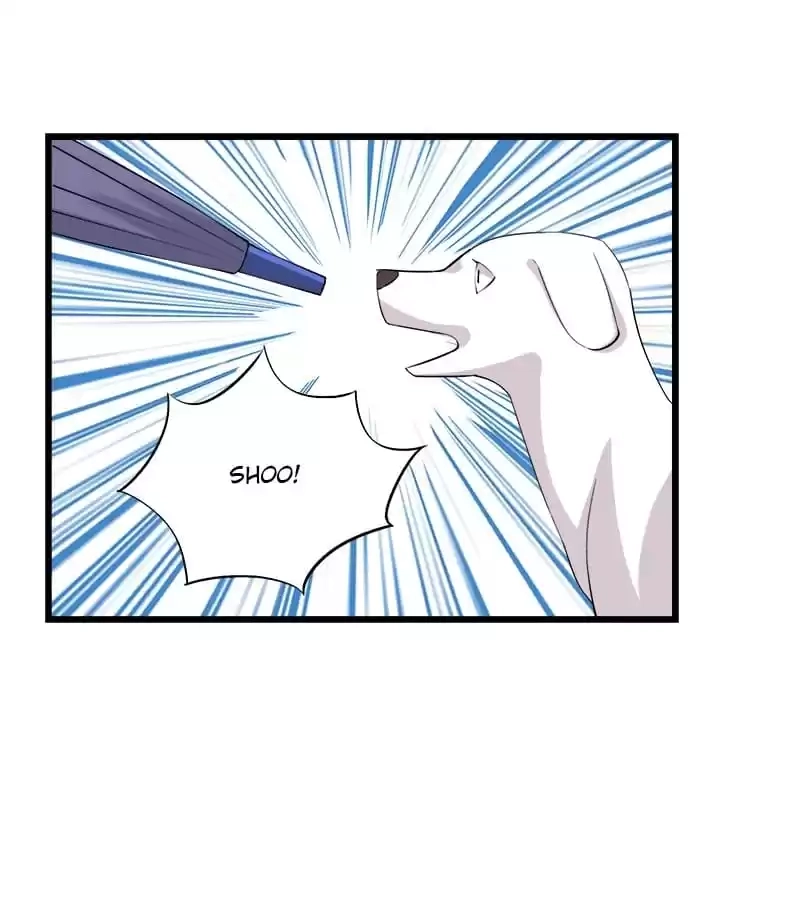 Cinderella Plot Chapter 75 page 1 - 