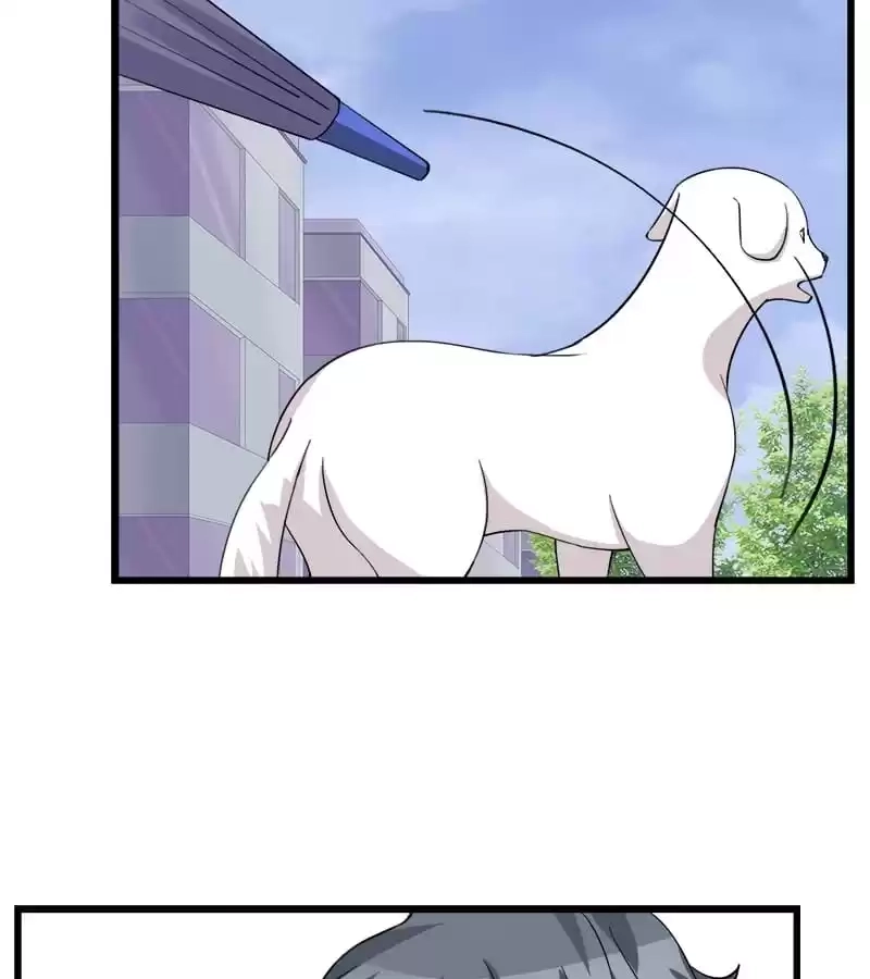 Cinderella Plot Chapter 75 page 4 - 