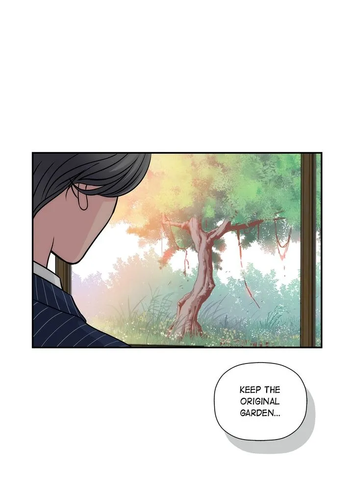 Read Cinderella