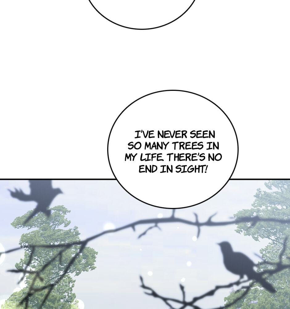 Cinder's Ball Chapter 48 page 78 - 