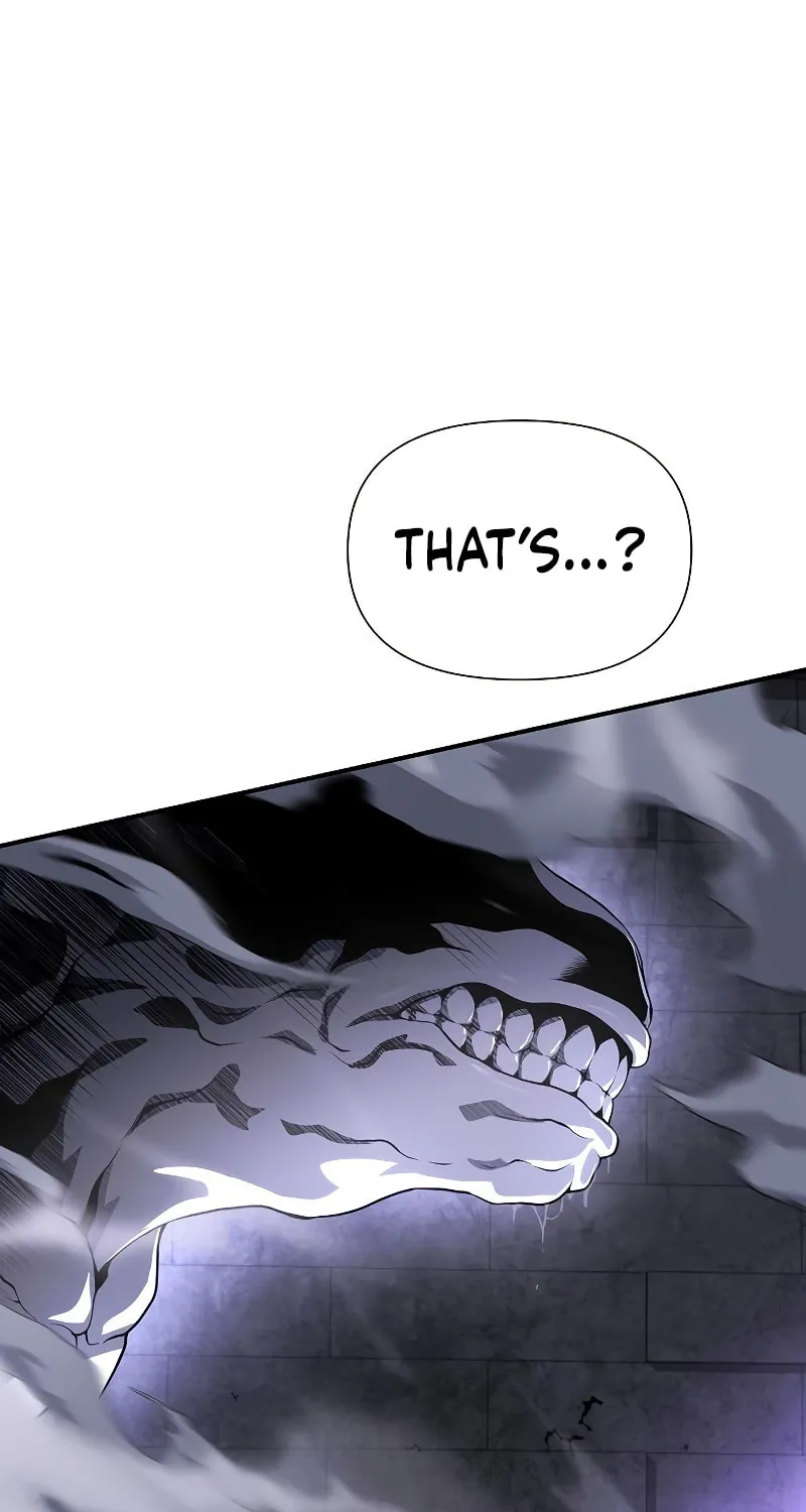 Cleric of Decay Chapter 22 page 45 - 