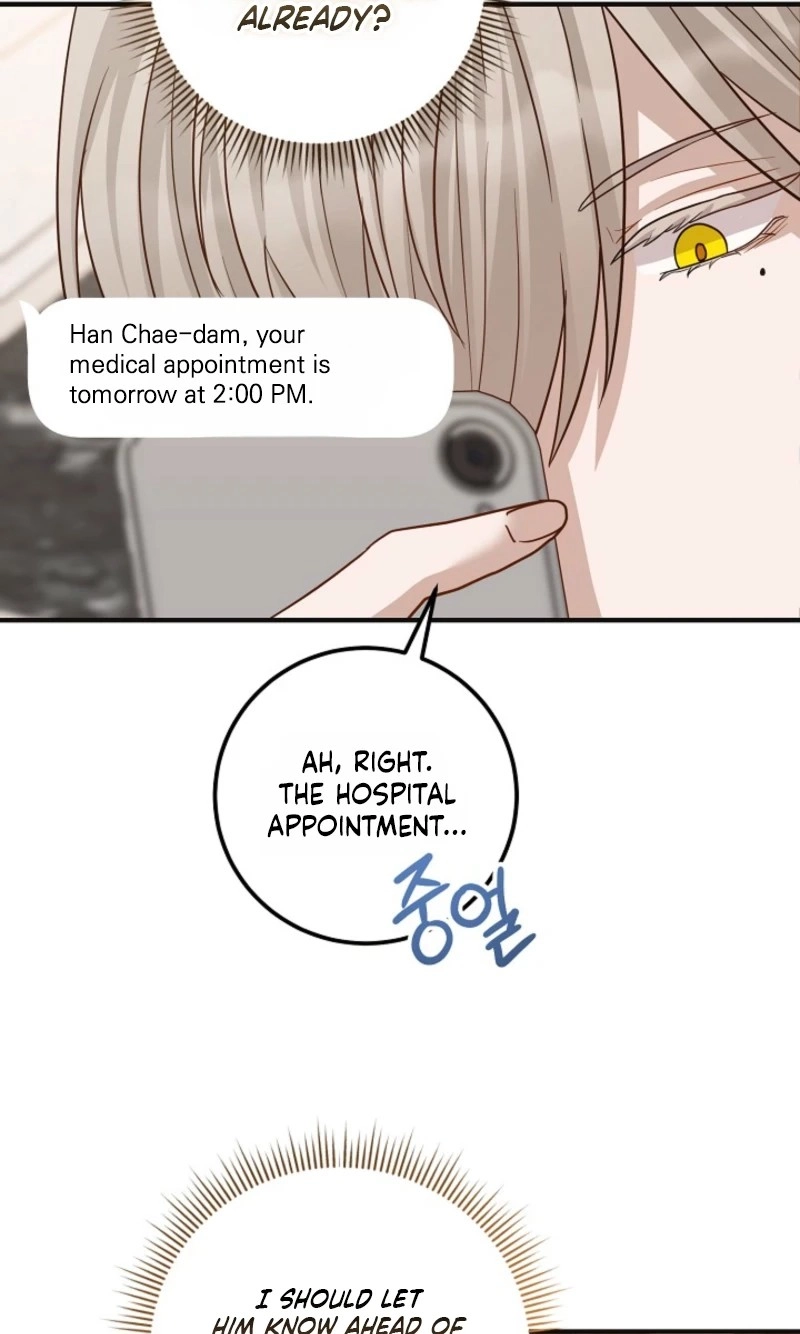 Read Close Up! Love