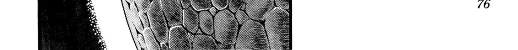 Read Cobra chapter 23 image 31 on Lezhin