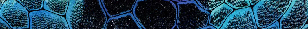 Read Cobra chapter 25 image 91 on Lezhin
