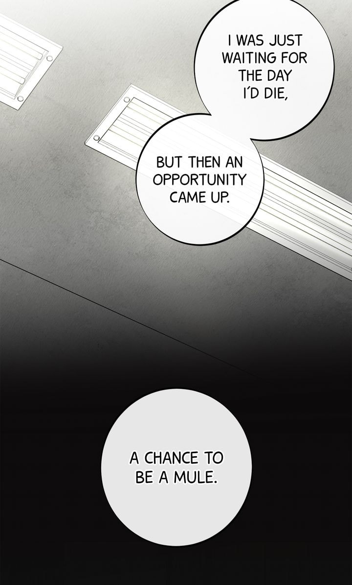 Read Codename March chapter 31 image 16 on Lezhin