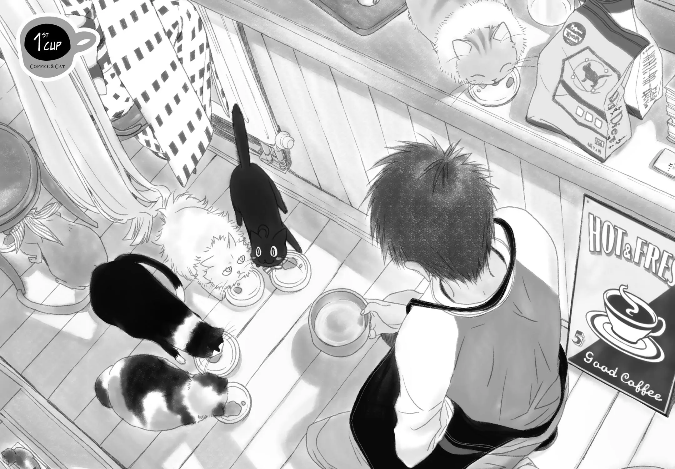 Read Coffee & Cat chapter 1 image 9 on Lezhin
