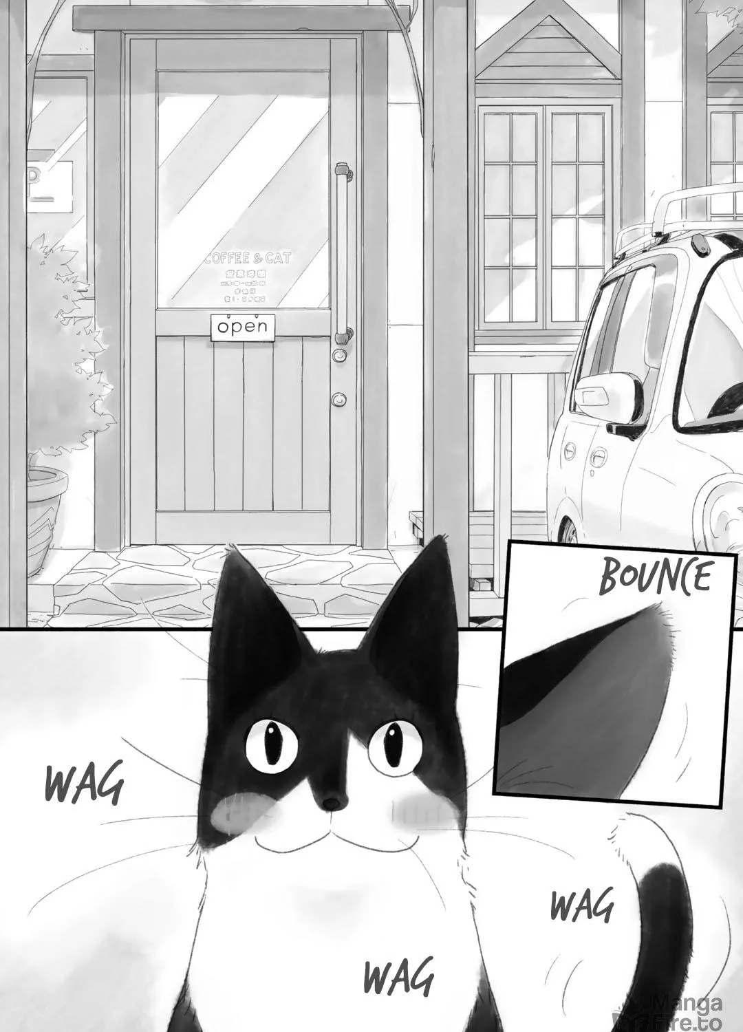 Read Coffee & Cat chapter 12 image 3 on Lezhin