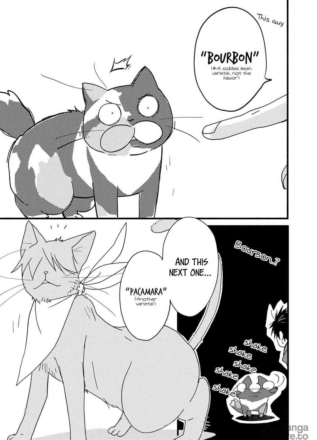 Read Coffee & Cat chapter 13 image 33 on Lezhin