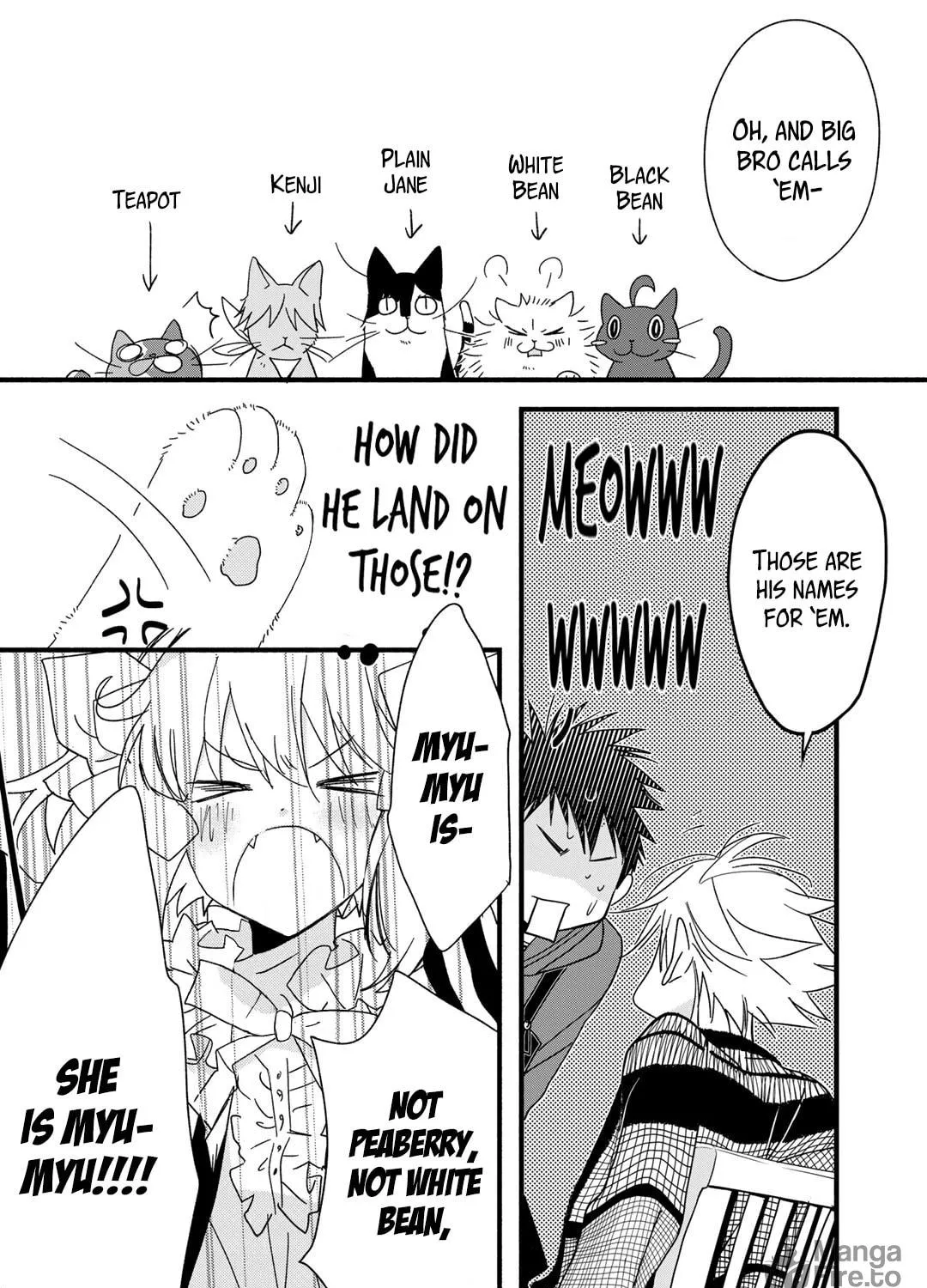 Read Coffee & Cat chapter 13 image 37 on Lezhin
