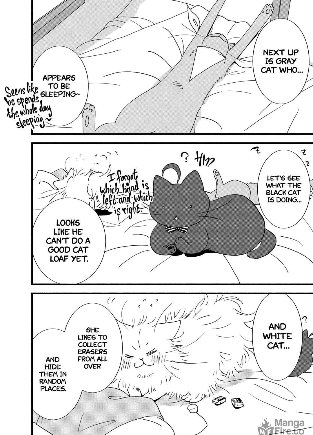 Read Coffee & Cat chapter 21.5 image 3 on Lezhin
