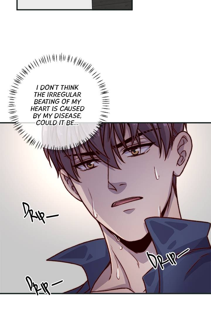 Read Coincidence or Destiny? chapter 21 image 18 on Lezhin