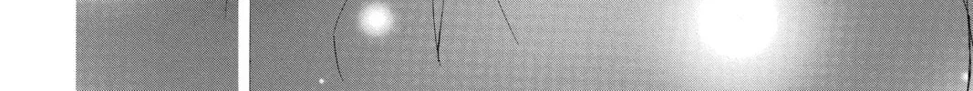Read Colette Decides to Die chapter 37 image 33 on Lezhin