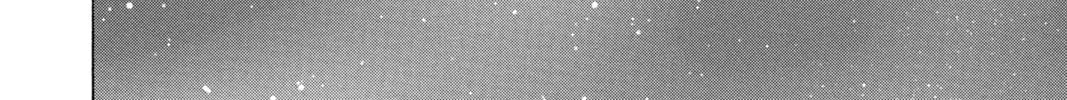 Read Colette Decides to Die chapter 41 image 57 on Lezhin