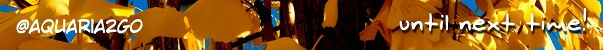 Read Colori Colore Creare chapter 12 image 32 on Lezhin