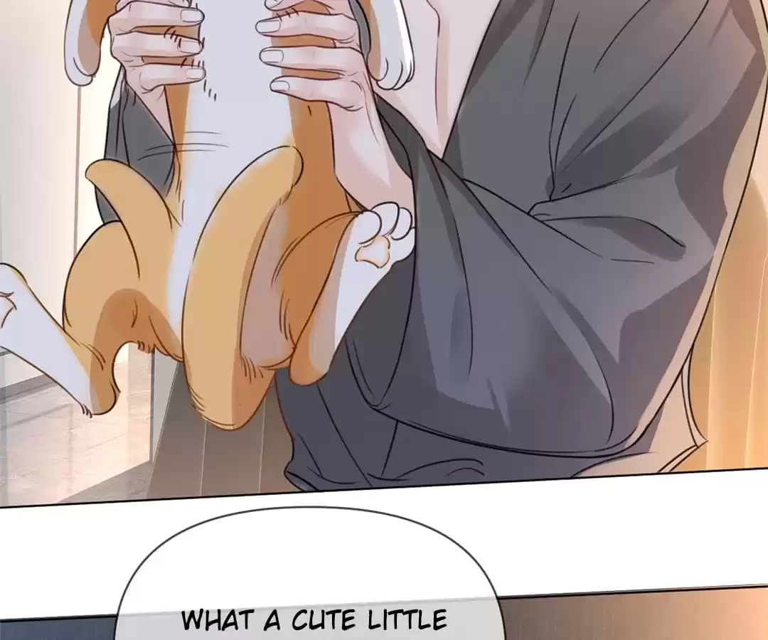 Read Coming Back as a Fair-Haired Boy chapter 27 image 8 on Lezhin