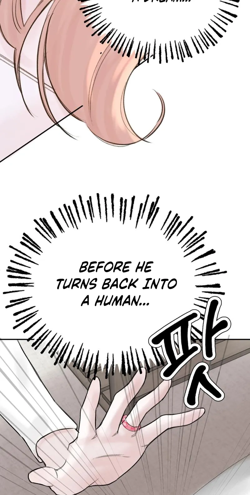Read Companion’s Seat chapter 2 image 40 on Lezhin