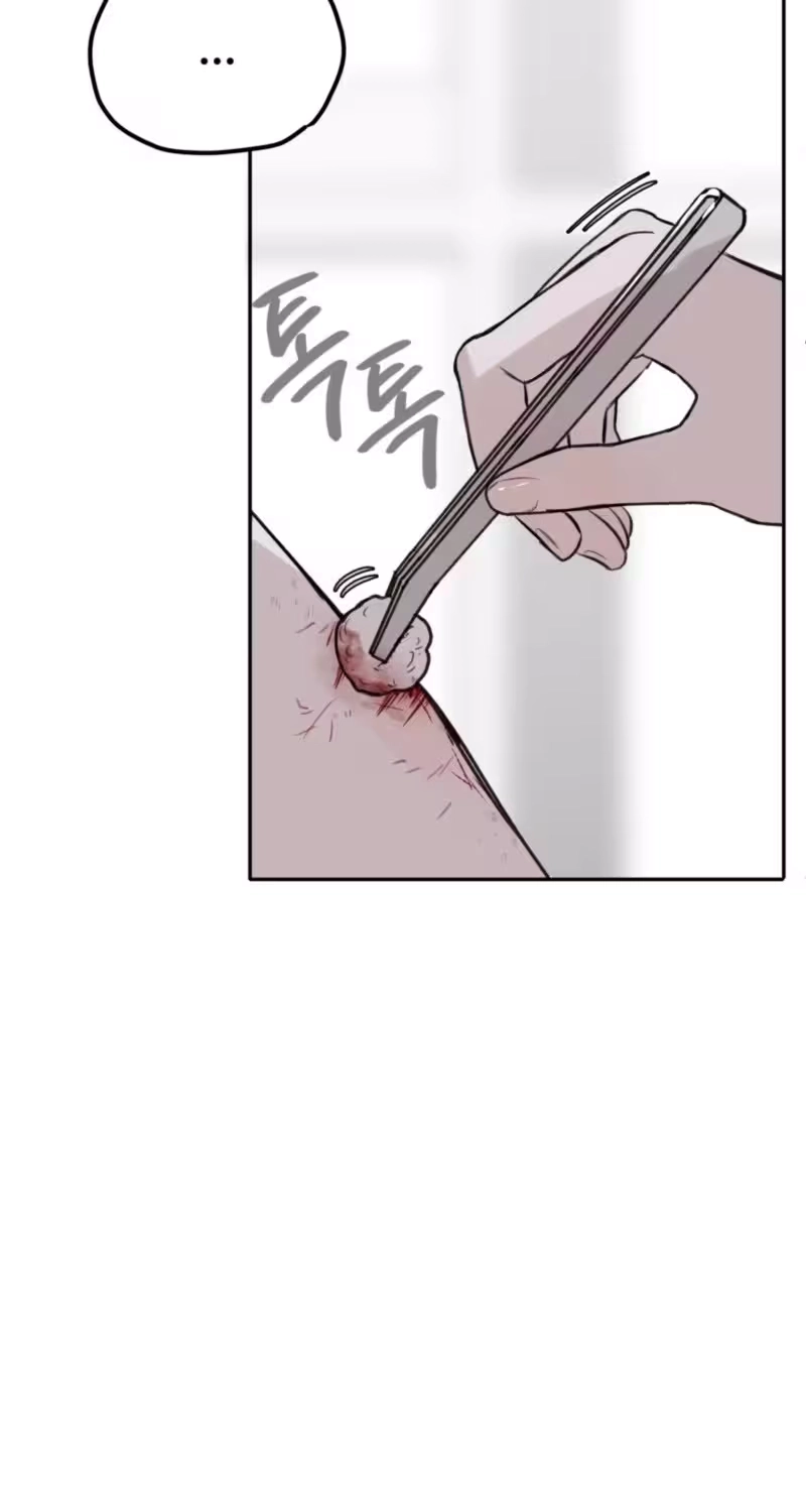 Read Companion’s Seat chapter 3 image 60 on Lezhin