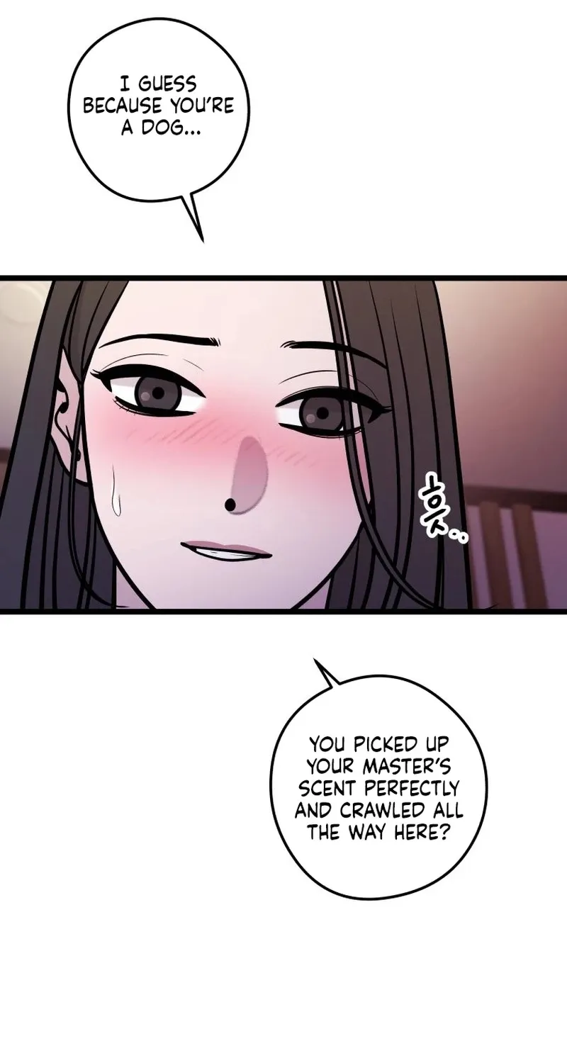 Complete Conquest Chapter 37 page 80 - 