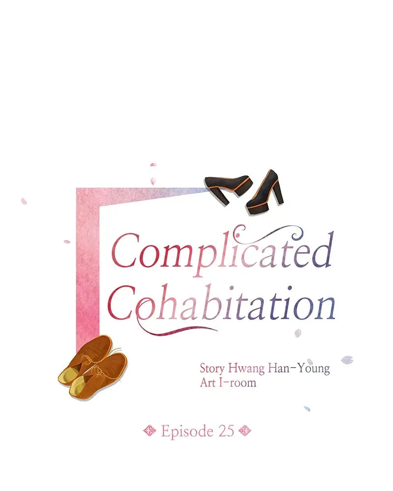 Complicated Cohabitation Chapter 25 page 17 - 