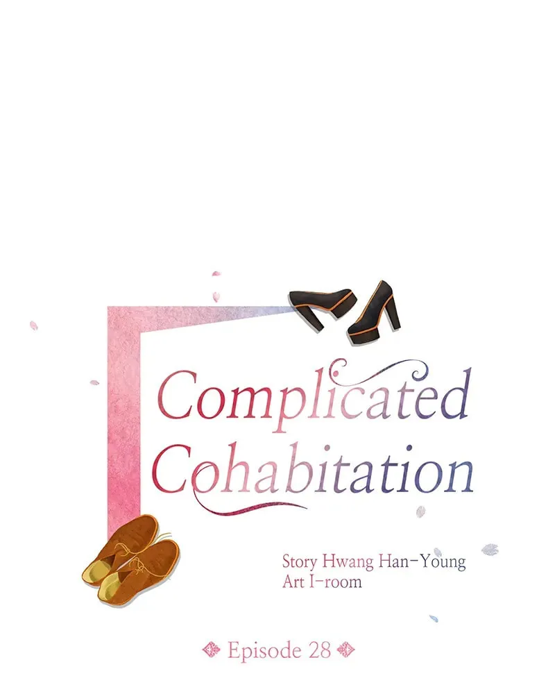 Complicated Cohabitation Chapter 28 page 17 - 
