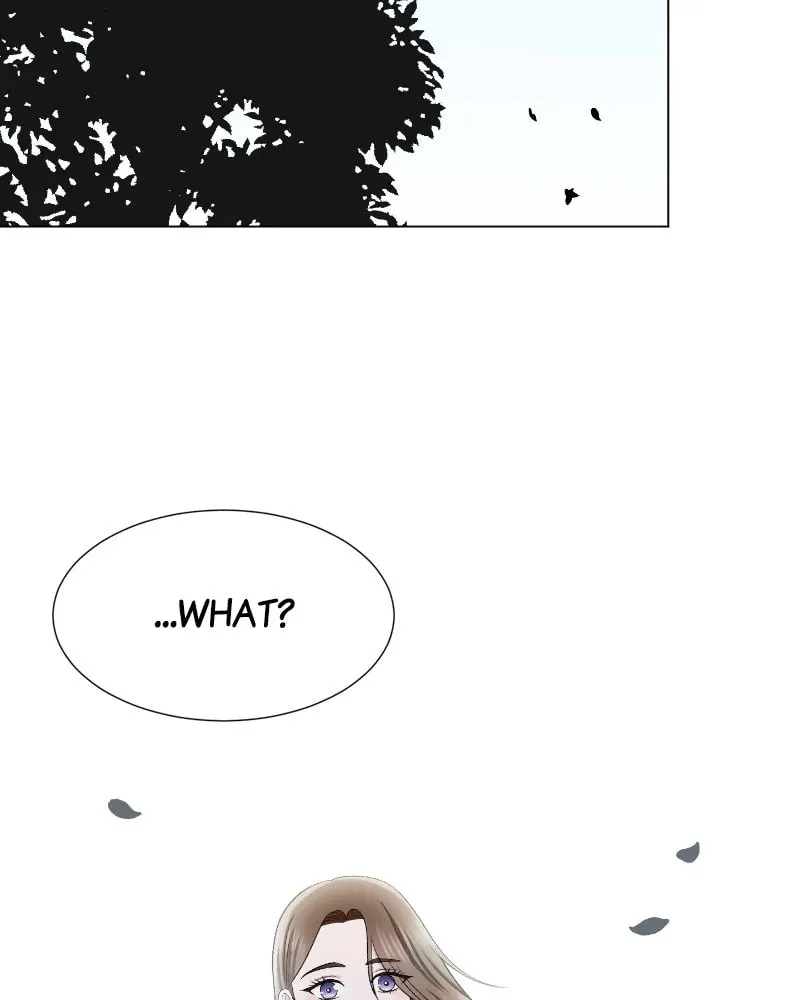 Complicated Cohabitation Chapter 40 page 43 - 
