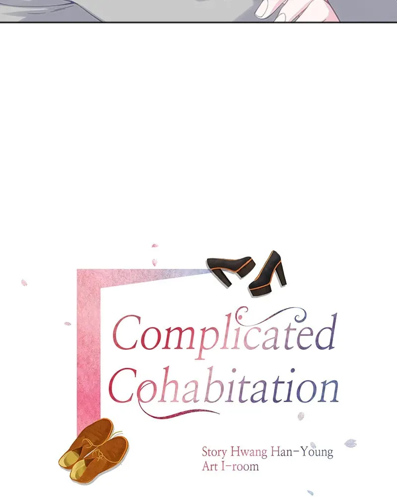 Complicated Cohabitation Chapter 9 page 17 - 