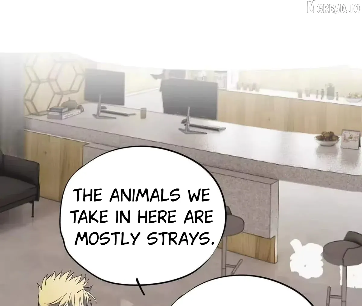 Confession of the Suspect A Chapter 19 page 31 - 