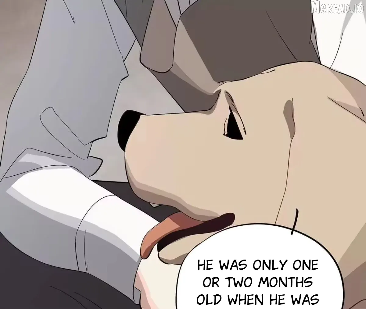 Confession of the Suspect A Chapter 19 page 34 - 
