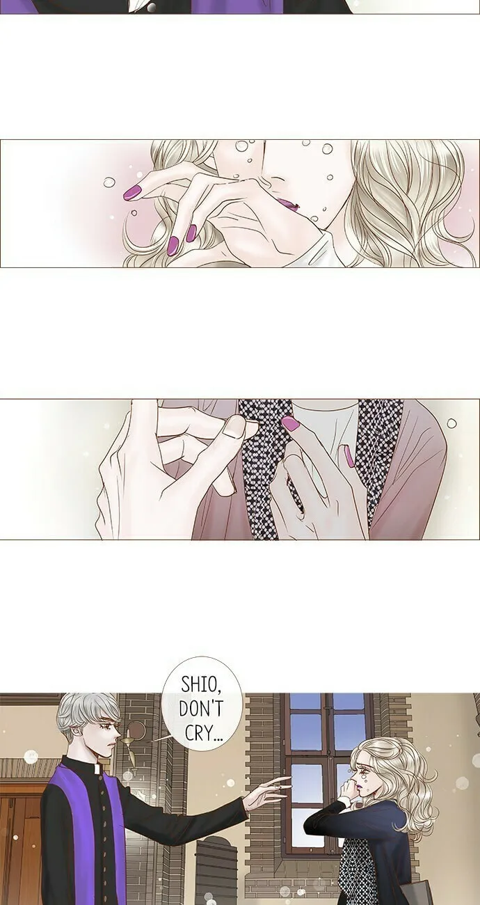Read Confession chapter 15 image 3 on Lezhin