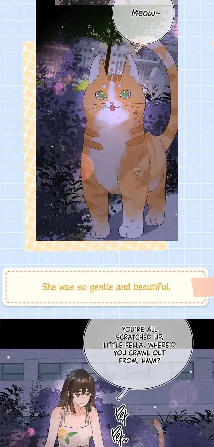 Read Confession chapter 18.1 image 1 on Lezhin
