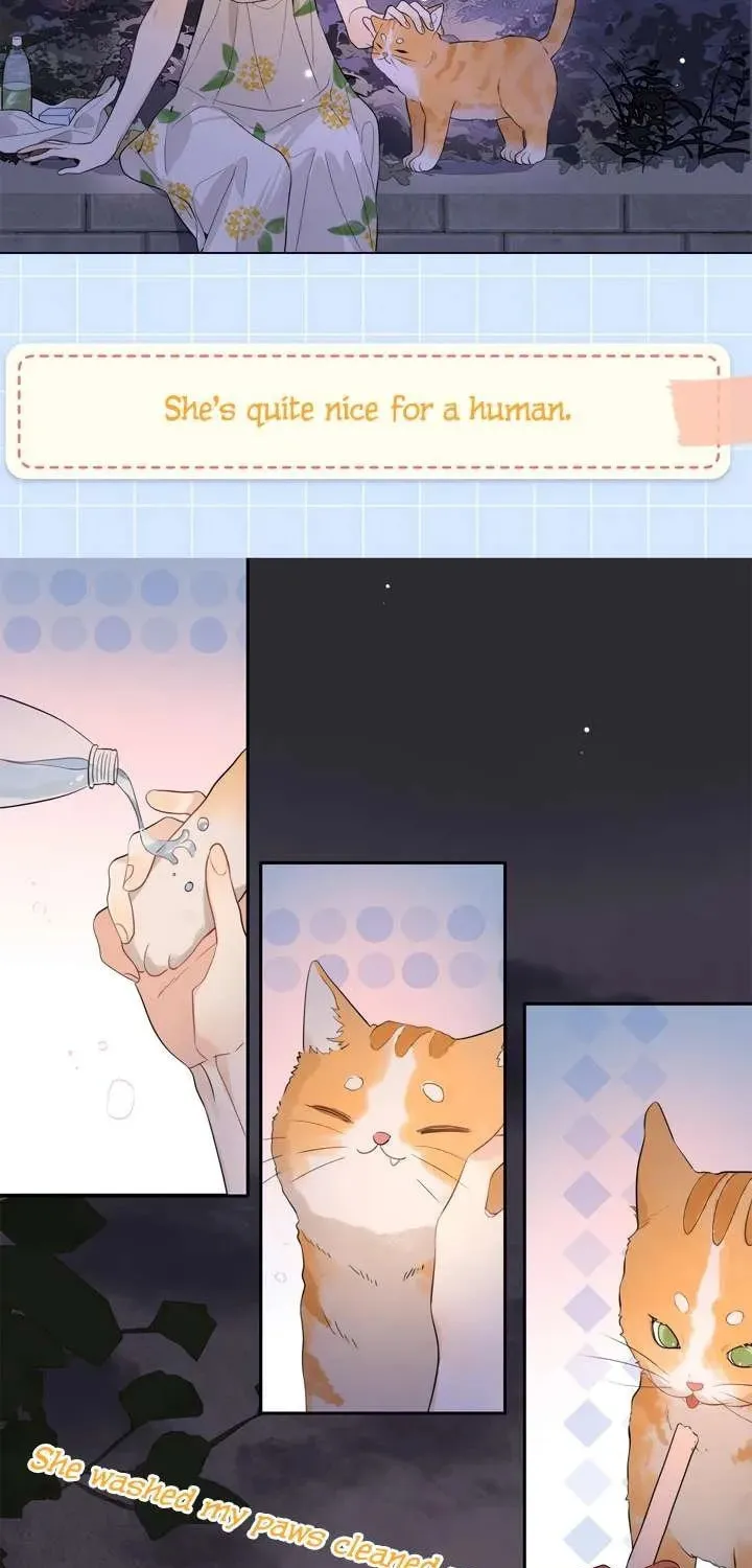 Read Confession chapter 18.1 image 2 on Lezhin