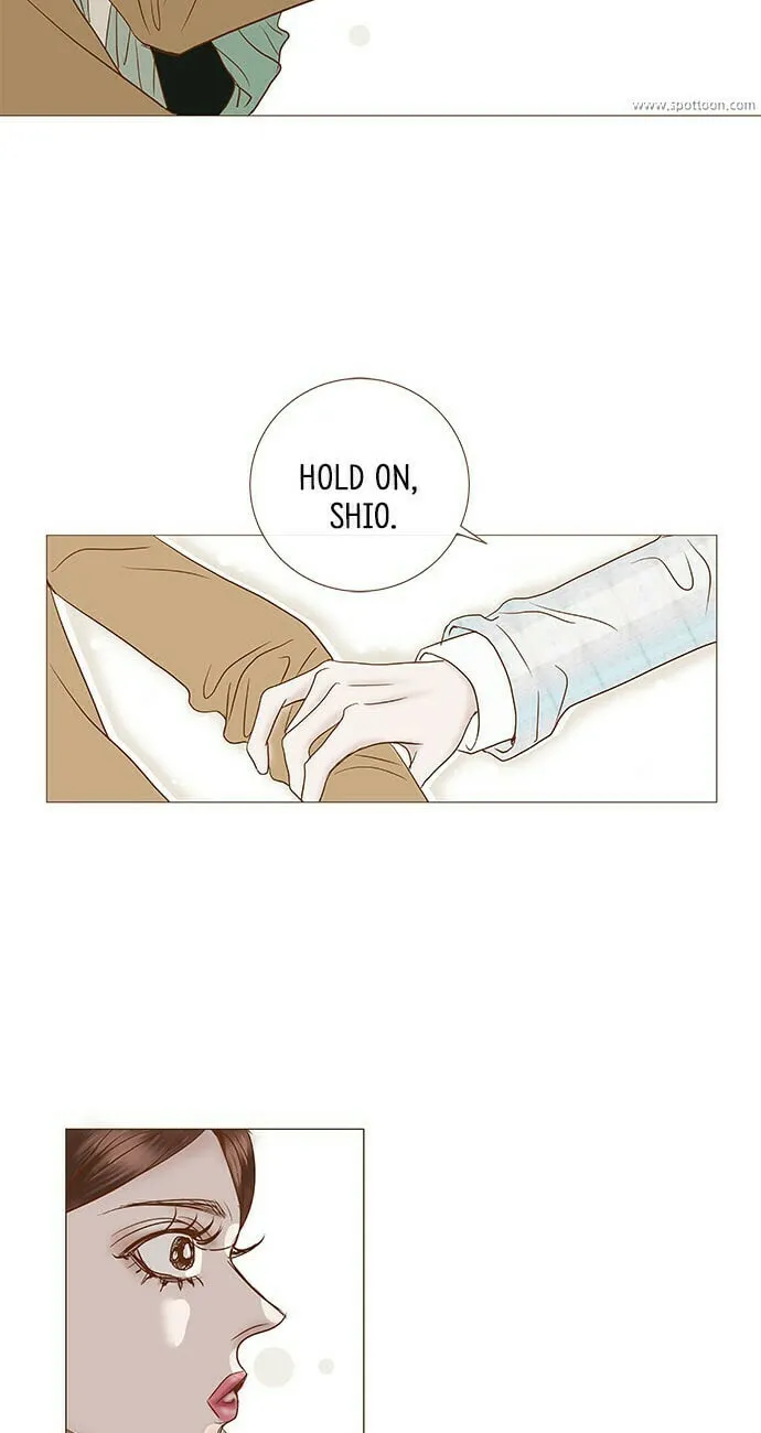 Read Confession chapter 19 image 22 on Lezhin