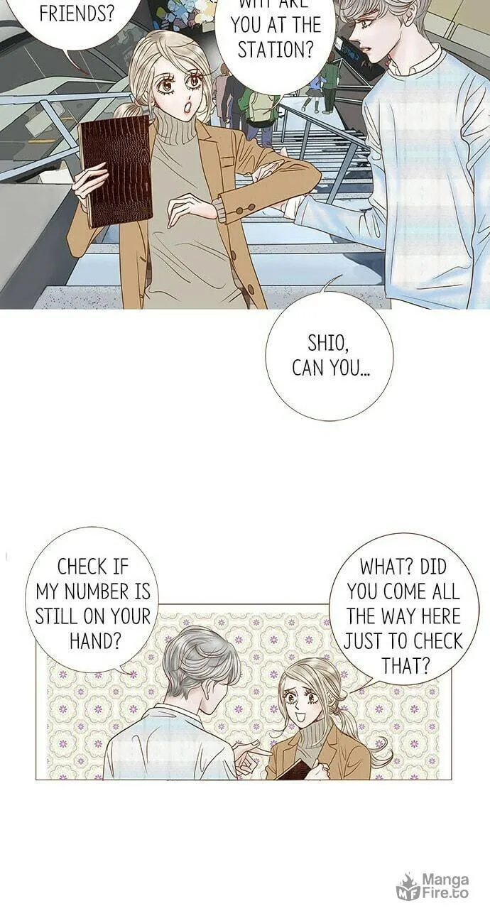 Read Confession chapter 21 image 11 on Lezhin