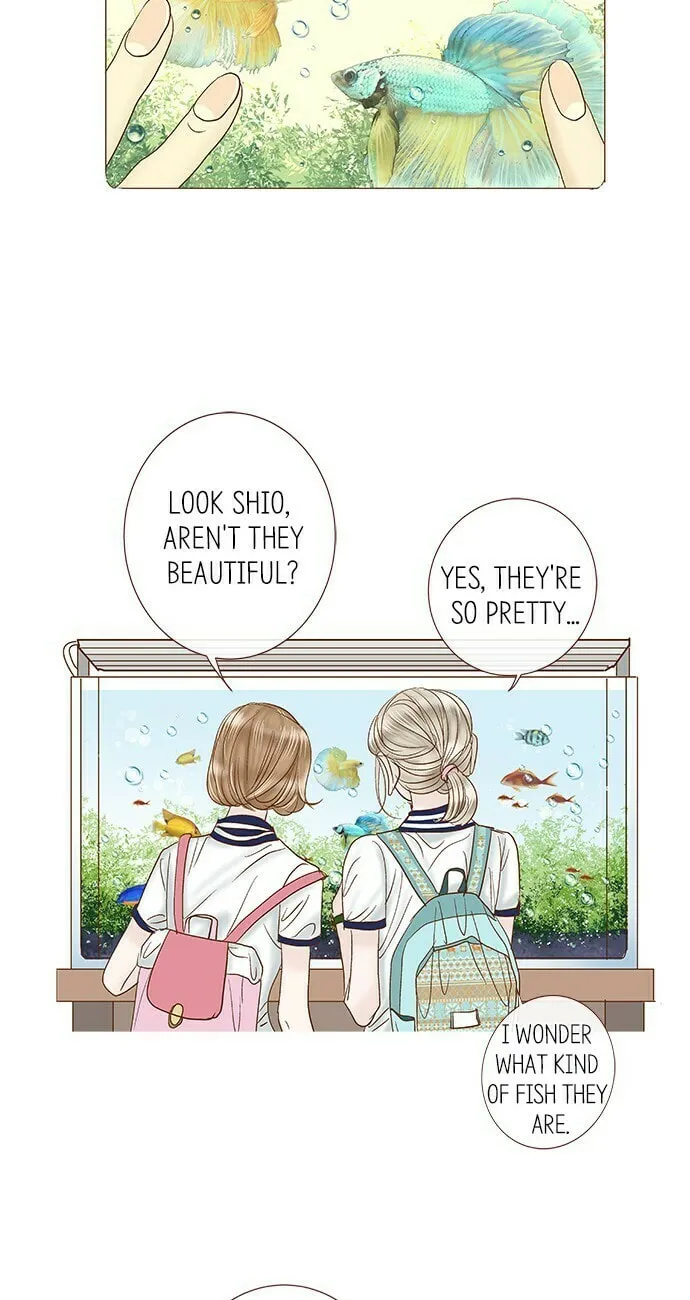 Read Confession chapter 28 image 12 on Lezhin