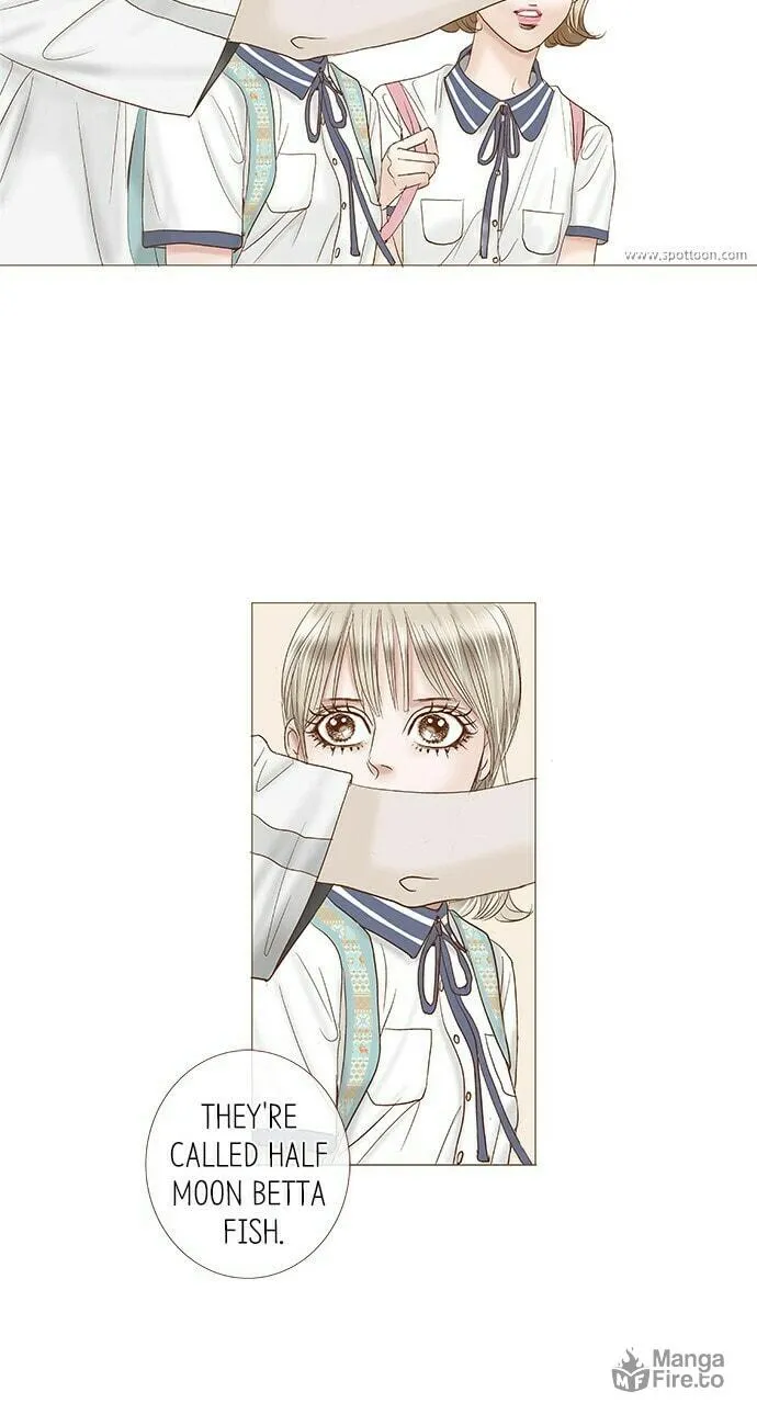 Read Confession chapter 28 image 14 on Lezhin