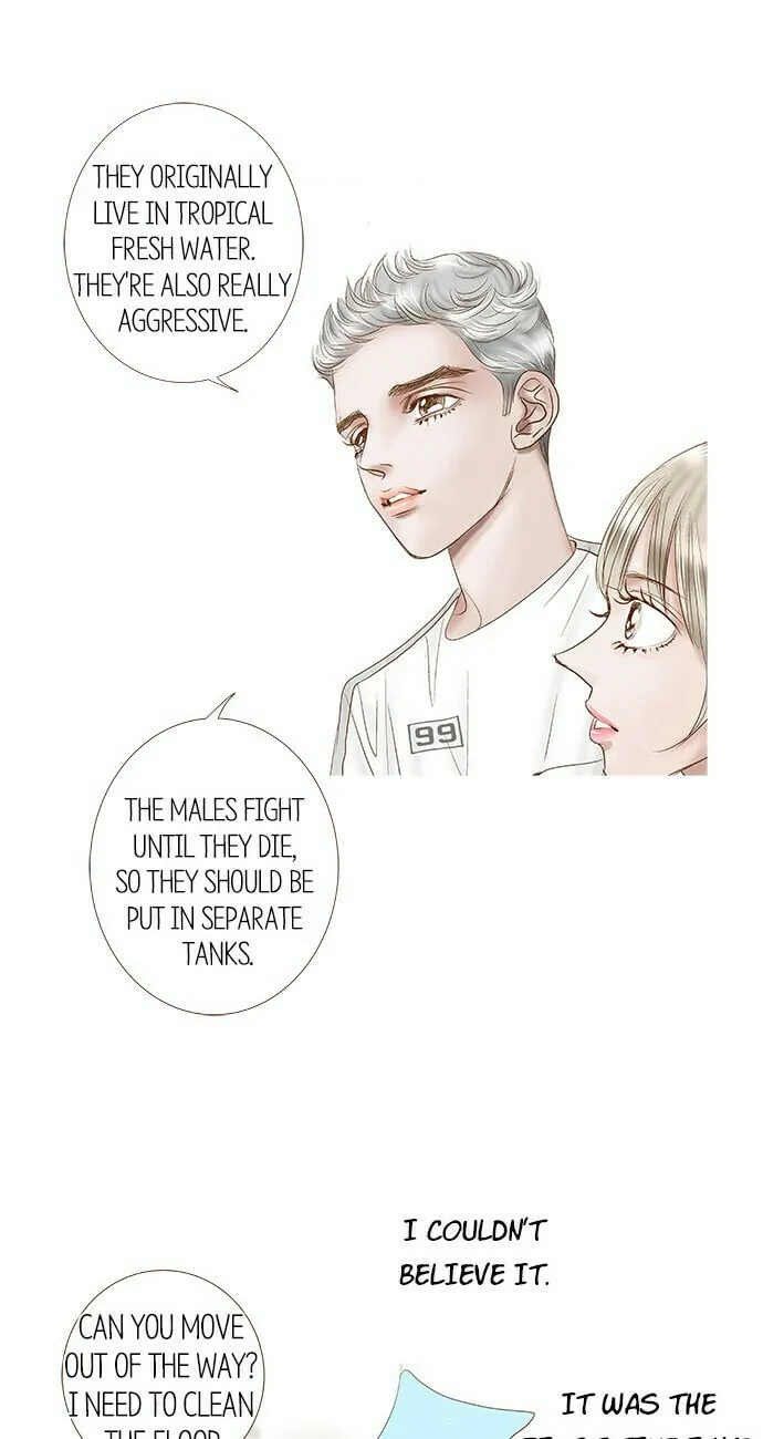 Read Confession chapter 28 image 15 on Lezhin
