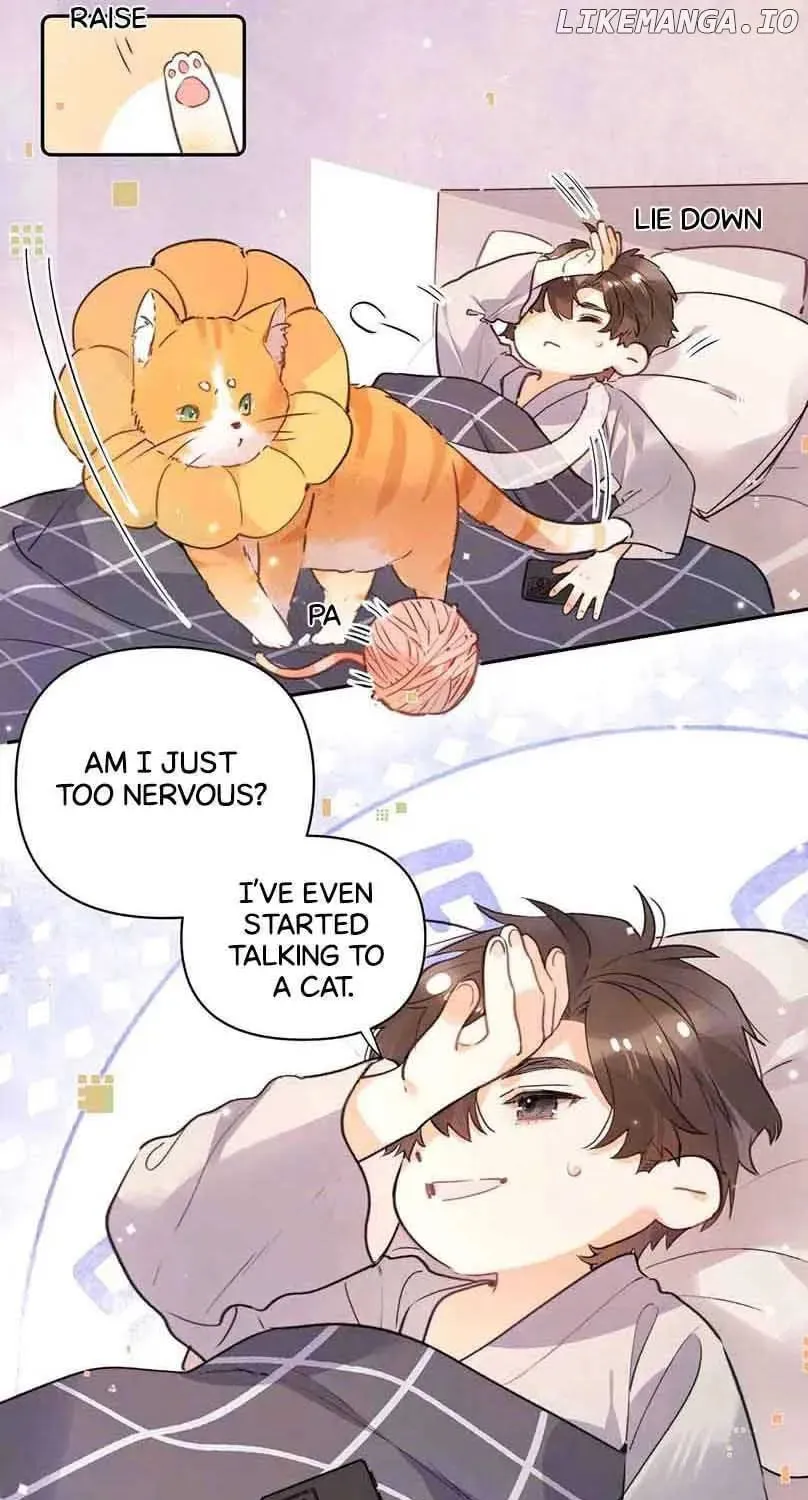 Read Confession chapter 51.5 image 6 on Lezhin