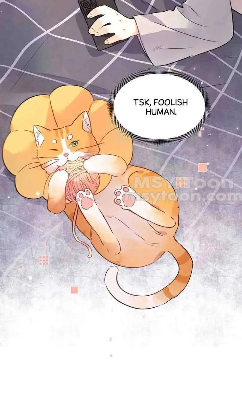 Read Confession chapter 51.5 image 7 on Lezhin