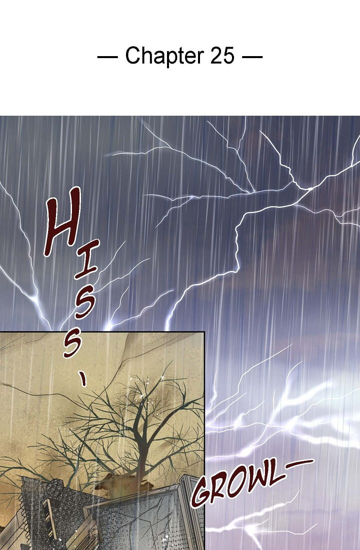 Read Conrad chapter 25 image 1 on Lezhin