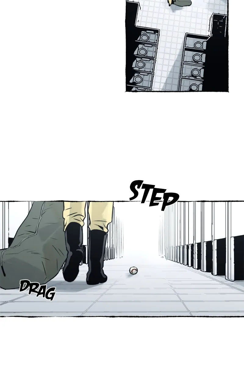 Containment Zone Management Chapter 12 page 32 - 
