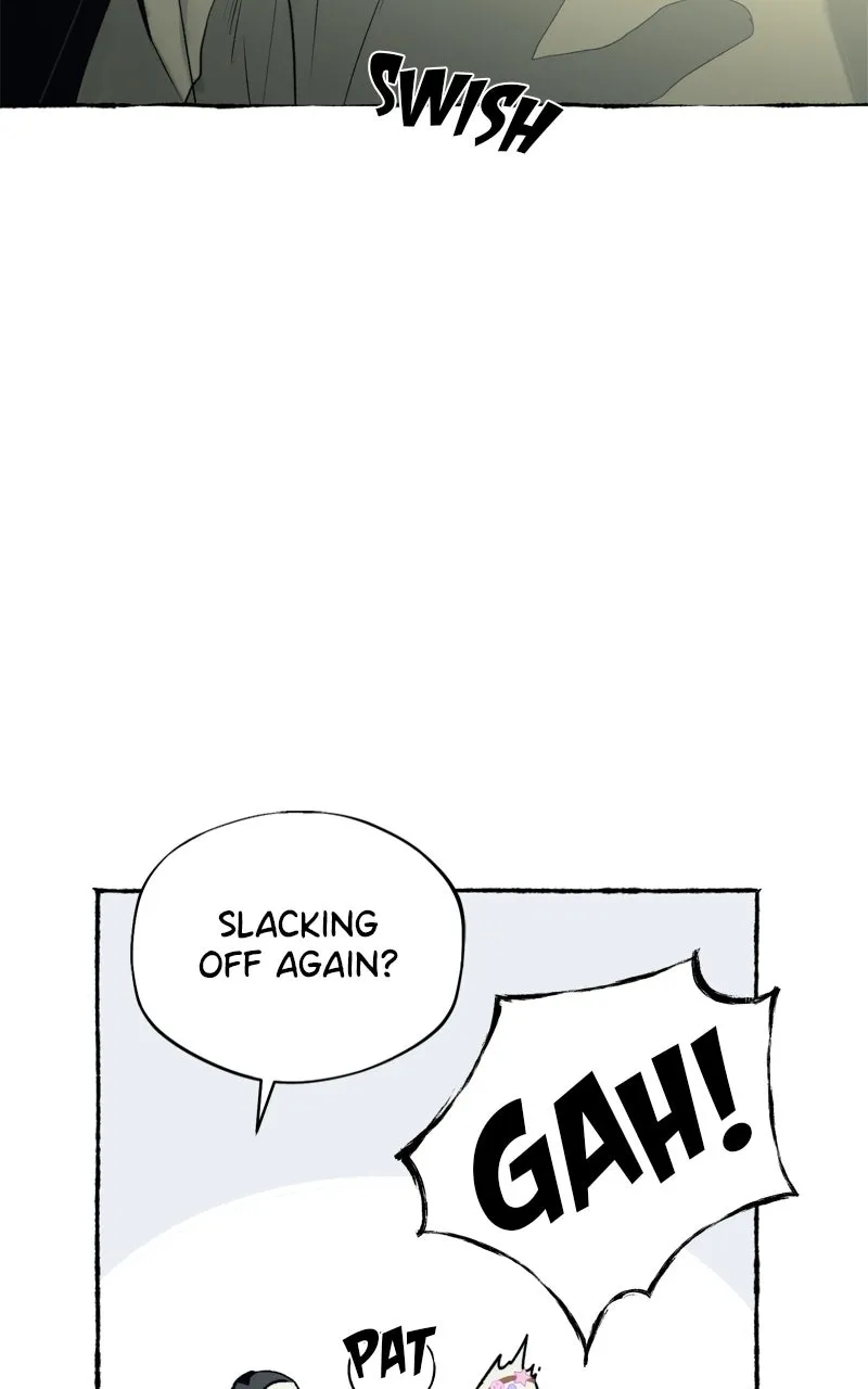 Containment Zone Management Chapter 12 page 52 - 