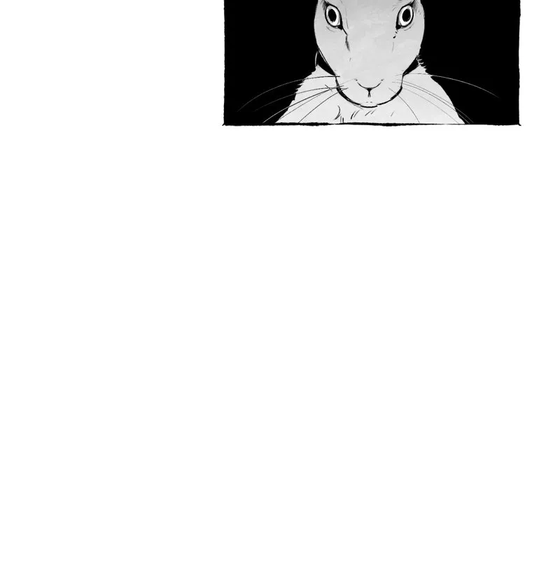 Containment Zone Management Chapter 13 page 62 - 