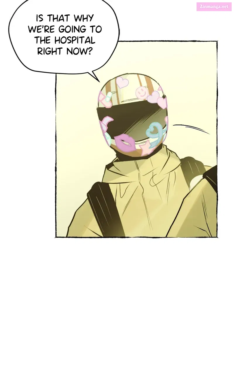 Containment Zone Management Chapter 17 page 19 - 