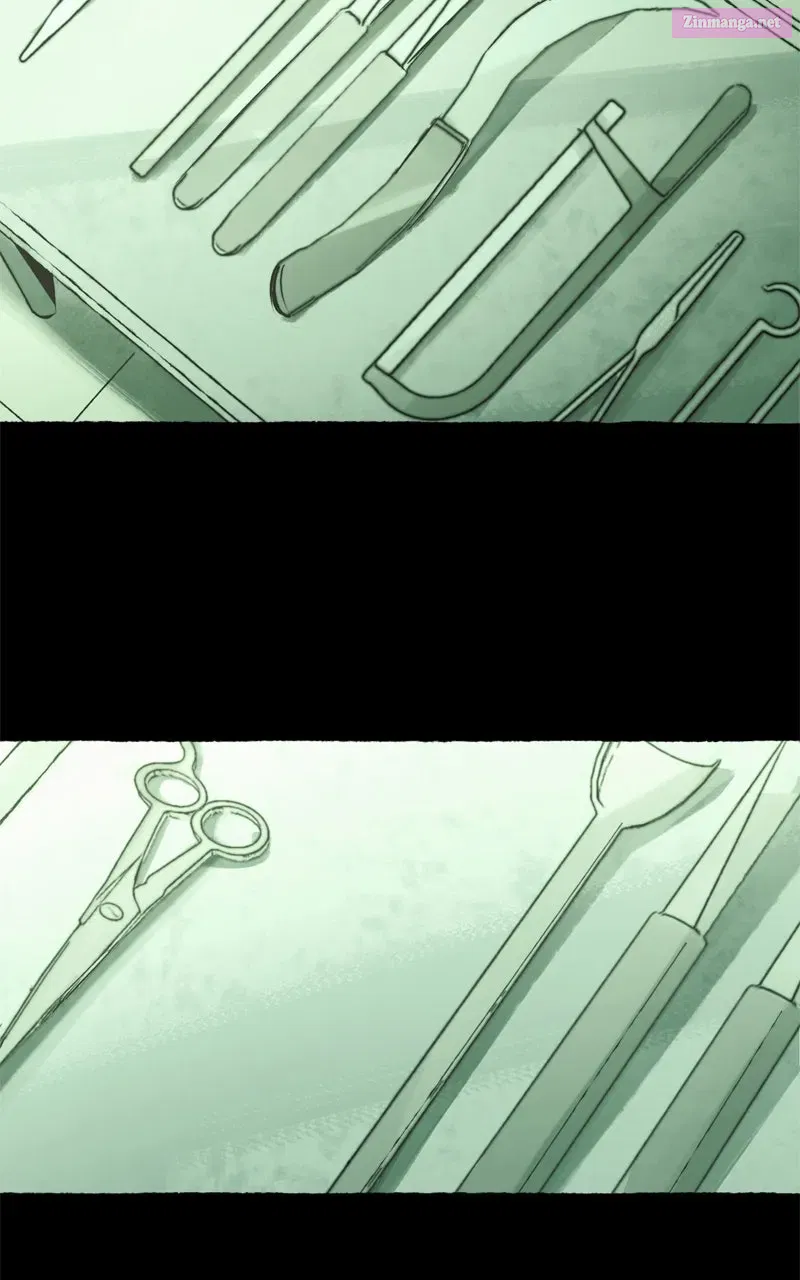 Containment Zone Management Chapter 18 page 15 - 