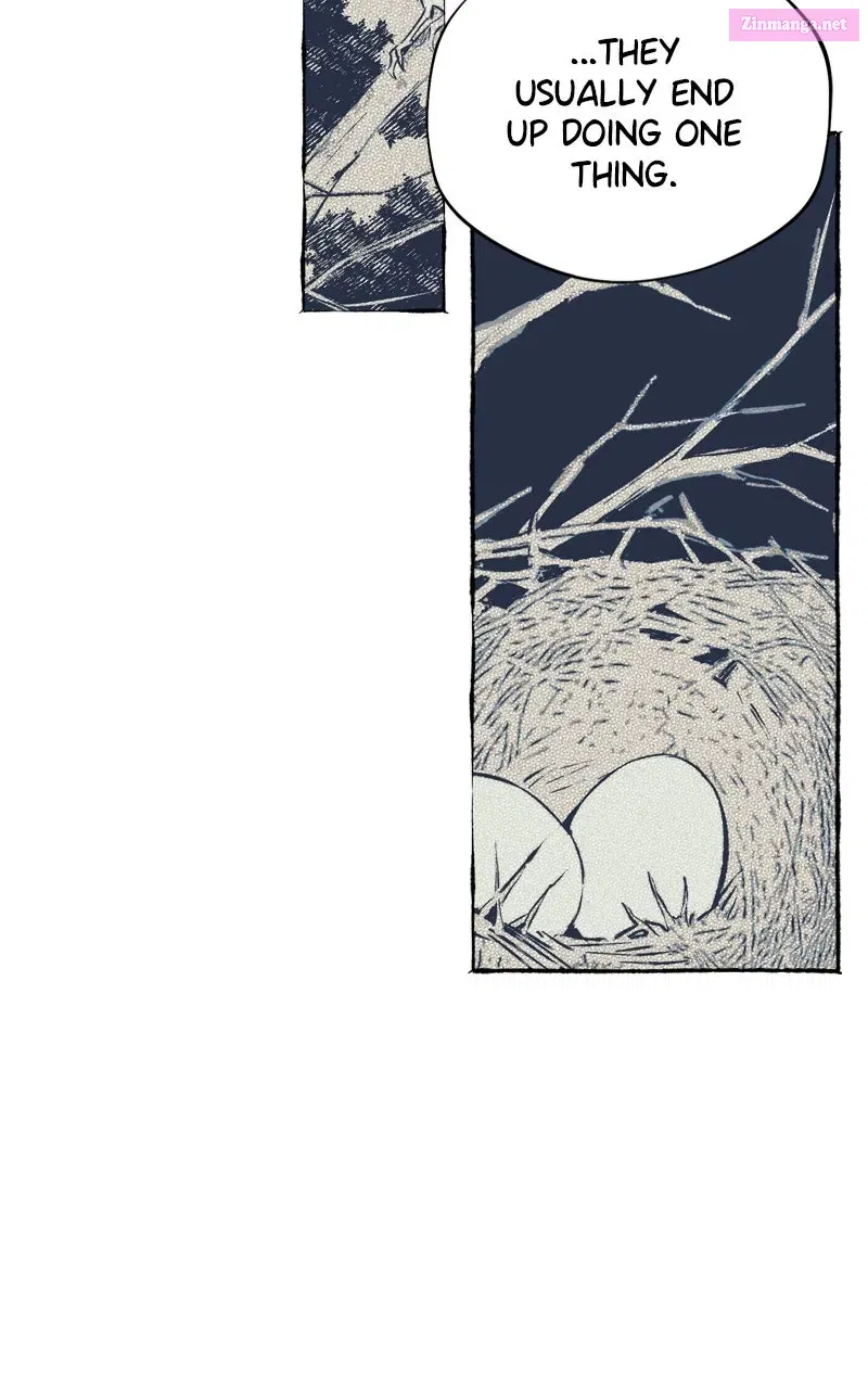 Containment Zone Management Chapter 20 page 21 - 