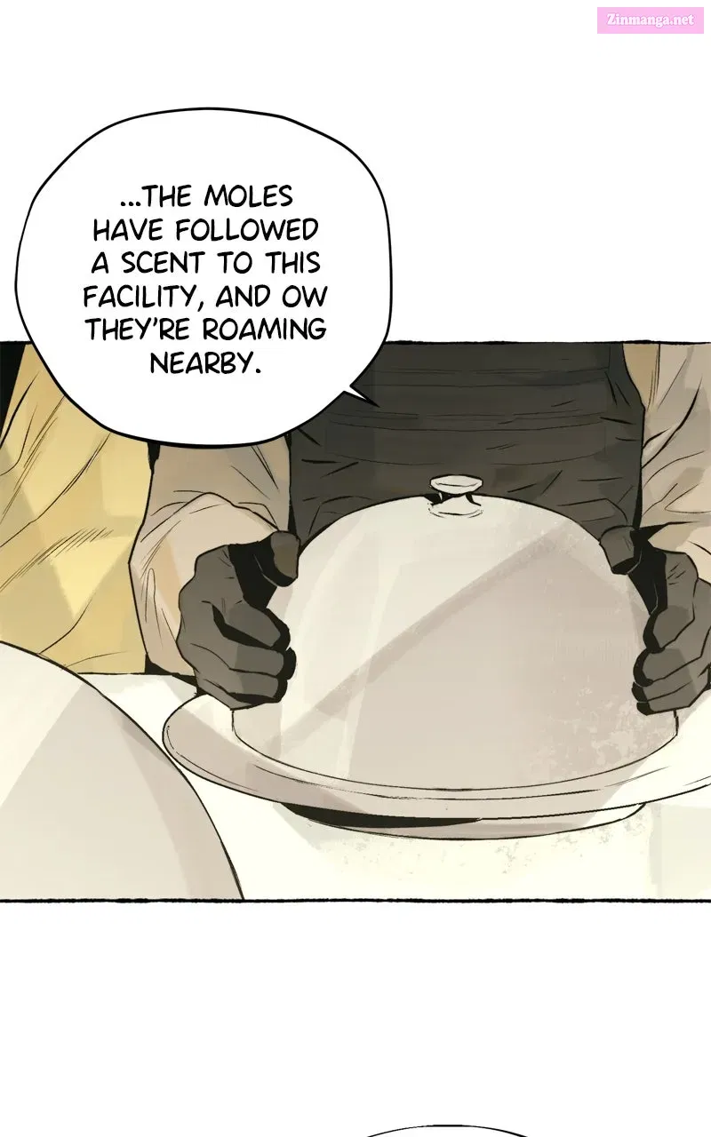 Containment Zone Management Chapter 21 page 23 - 